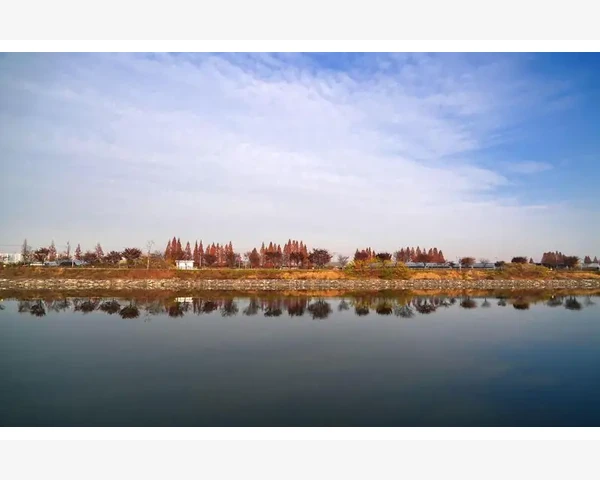 4个月宝宝补铁吃什么好用？