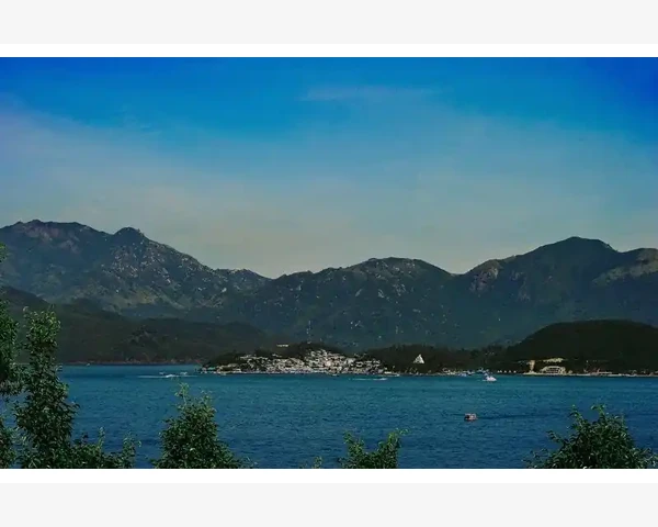 健脾胃，离不开中药的保护