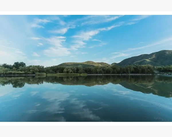 注册会计师证书有效期与续期全流程解读